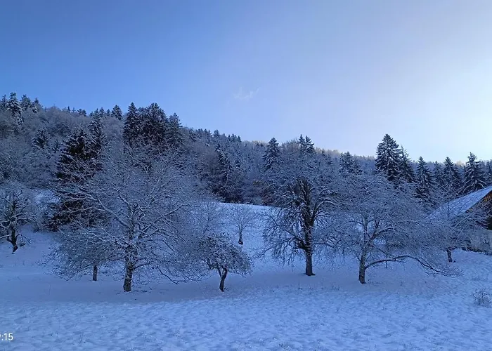 Gite Coeur De Haute-Savoie