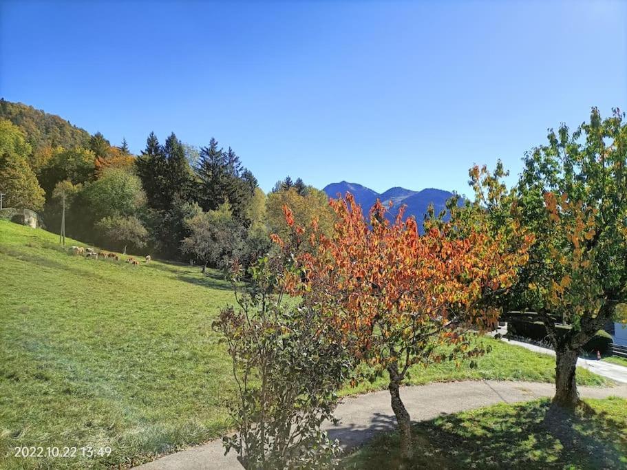 Coeur De Haute-savoie Viuz-en-Sallaz