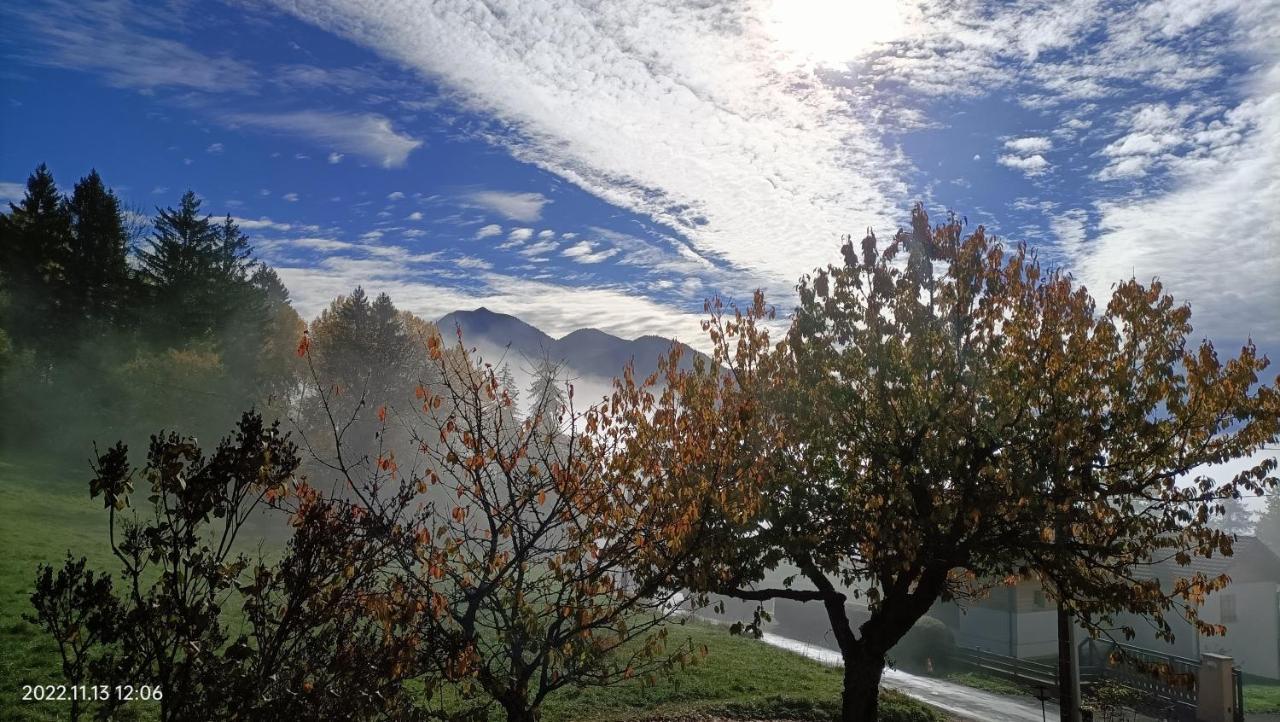 Coeur De Haute-savoie * Viuz-en-Sallaz