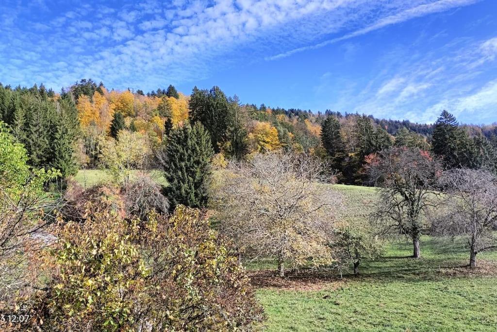 Coeur De Haute-savoie *